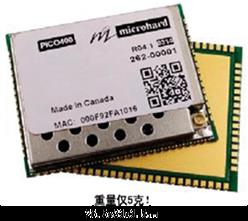 ΢������ͳɱ�������֯��״�����������ݴ���ģ��